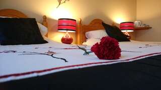 Отели типа «постель и завтрак» Mount Edward Lodge Grange Двухместный номер с 2 отдельными кроватями, собственной внешней ванной комнатой и видом на море-4
